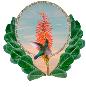 An image of a hummingbird flying over a flower.