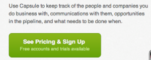 Call to action button - Capsule CRM
