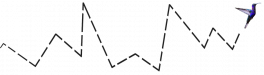Bird_Path